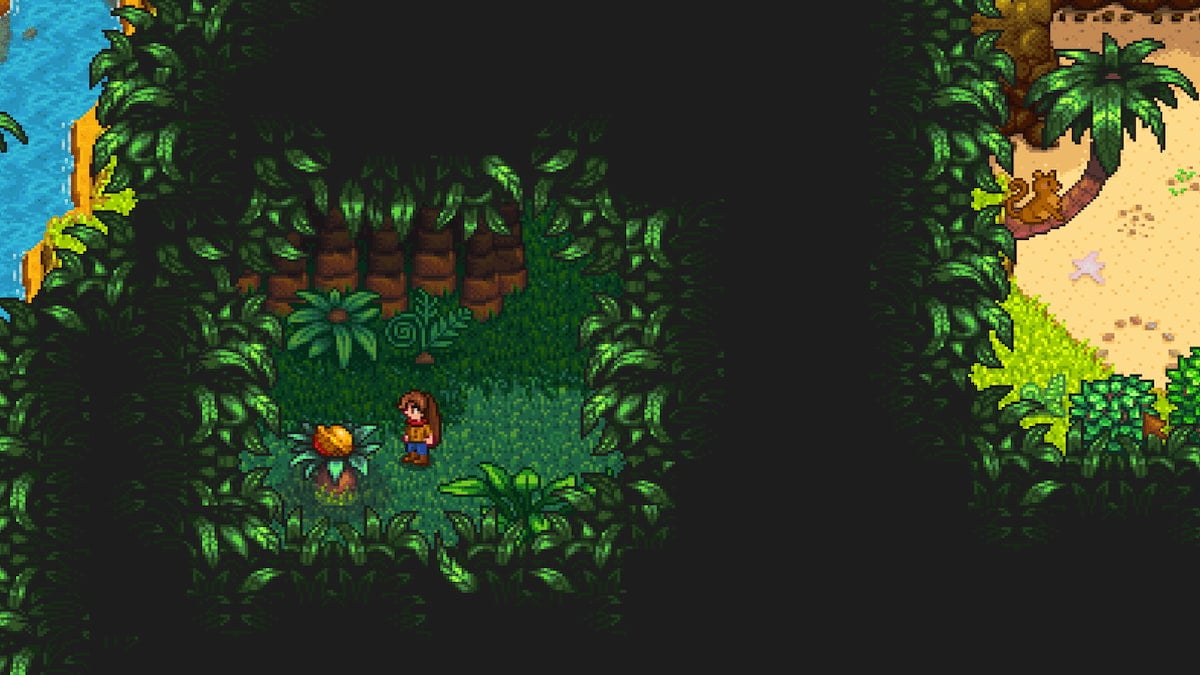 All Golden Walnut Locations in Stardew Valley