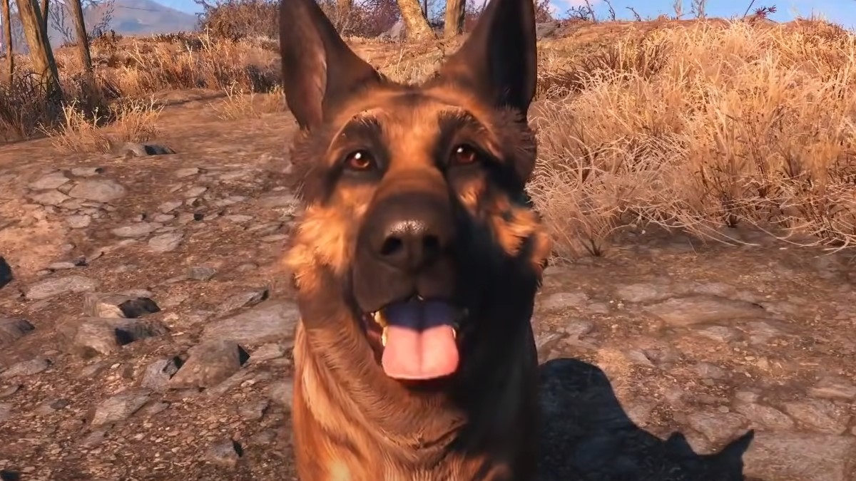 Fallout Theory Claims Dogmeat Is a Synth