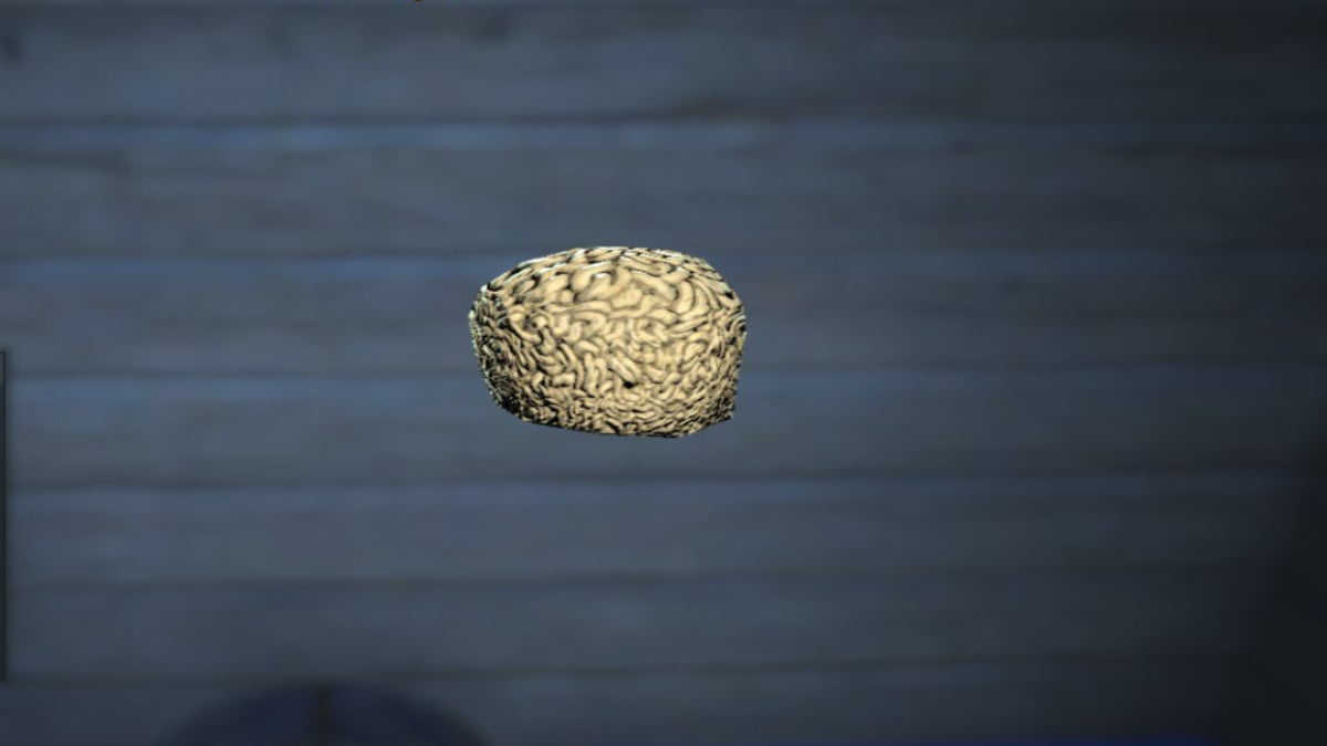 Fallout 76 Brain Fungus Locations