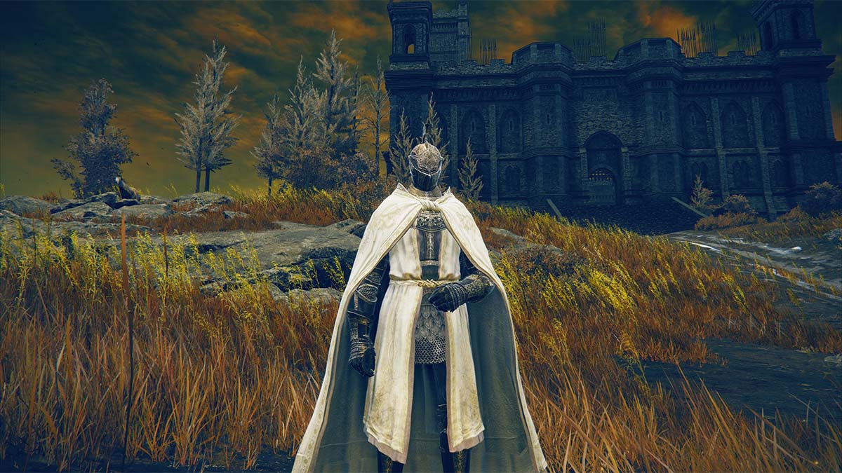 Should You Kill All the NPCs Early in Elden Ring Shadow of the Erdtree?