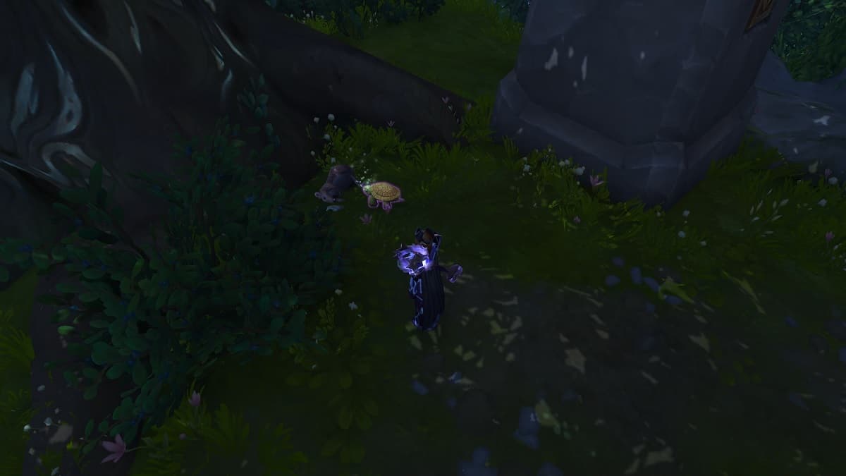How to Find and Get the Dalaran Sewer Turtle in WoW: The War Within