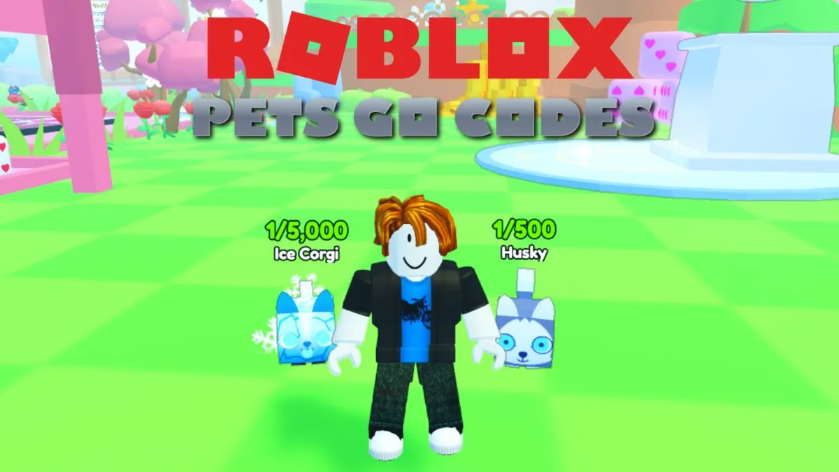 Roblox Pets Go Codes (May 2025) - TechWiser