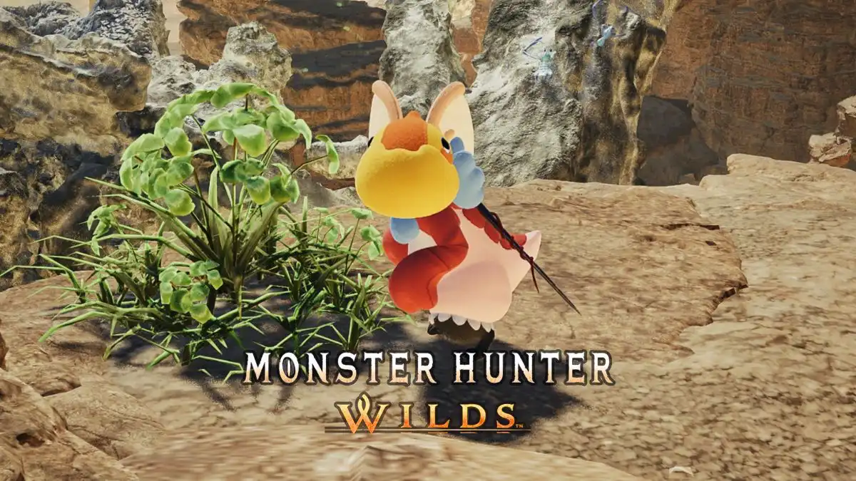 Best Weapons and Armor for Palico in Monster Hunter Wilds