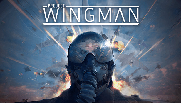 Project Wingman: Conquest Roster Guide - GamePretty