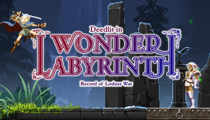 Record of Lodoss War Deedlit in Wonder Labyrinth: All Bosses & Cutscenes - GamePretty