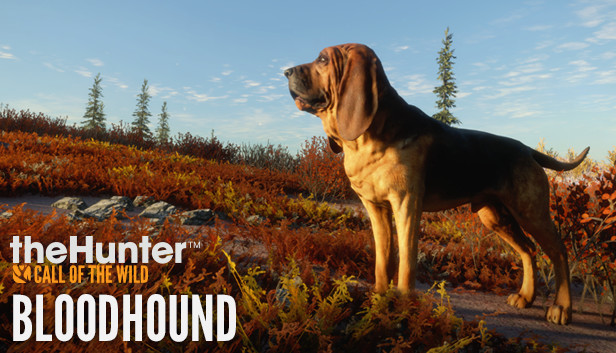 theHunter Call of the Wild: Bloodhound DLC Full Guide - GamePretty