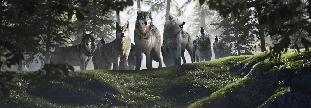Wolf Game: The Wild Kingdom Is Out Now On Android and iOS Worldwide