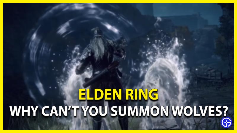 Why Can't I Summon Wolves In Elden Ring? (Answered)