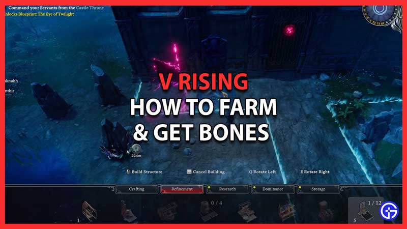 How To Get & Farm Bones In V Rising