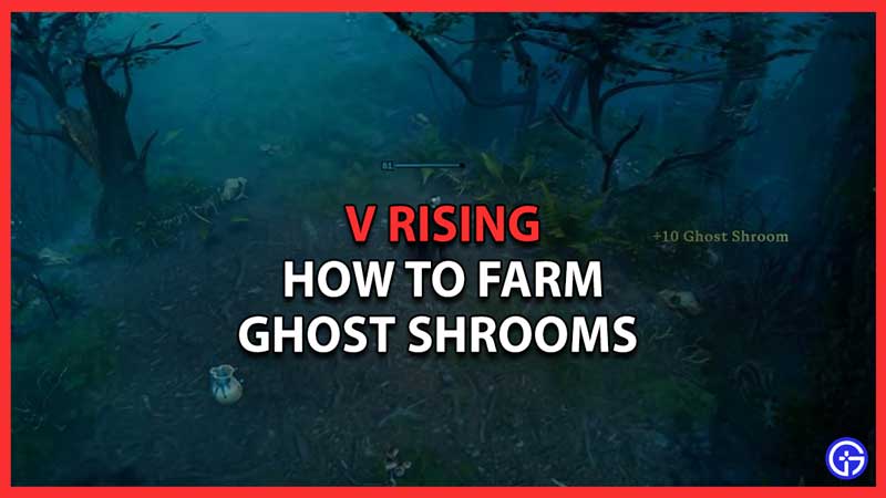 V Rising Ghost Shrooms Farming Location