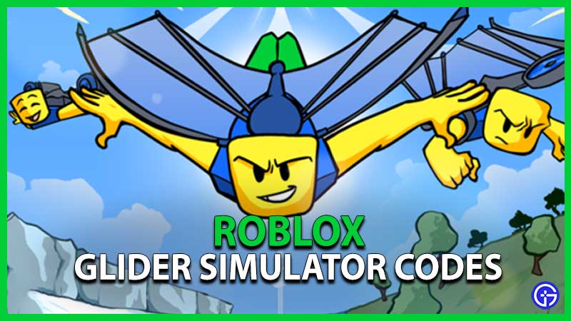 Glider Simulator Codes (May 2024)