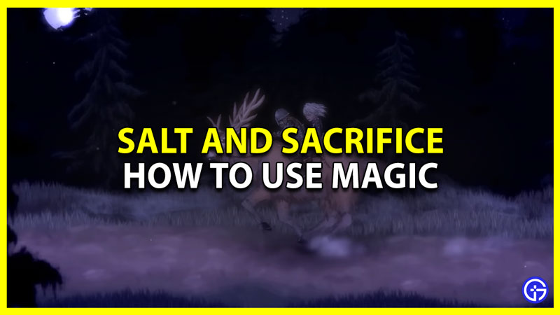 Salt And Sacrifice: How To Use Magic