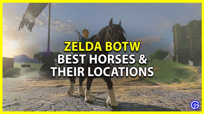Zelda BOTW: Best Horses & Their Locations