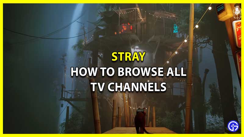 Stray: How To Browse All TV Channels