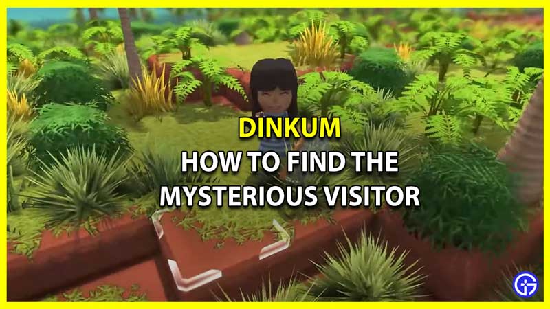 Dinkum: How To Find The Mysterious Visitor Ted Sally