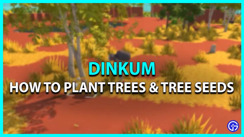Dinkum: How To Plant Trees & Tree Seeds