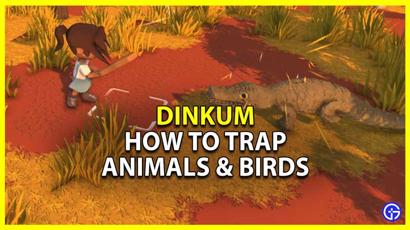 Dinkum: How To Trap Animals & Catch Birds