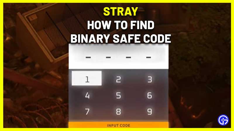 Stray Binary Safe Code (Mysterious Password)