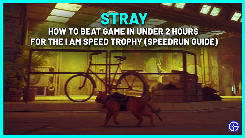 Stray I Am Speed Trophy Guide: How To Speedrun In 2 Hours