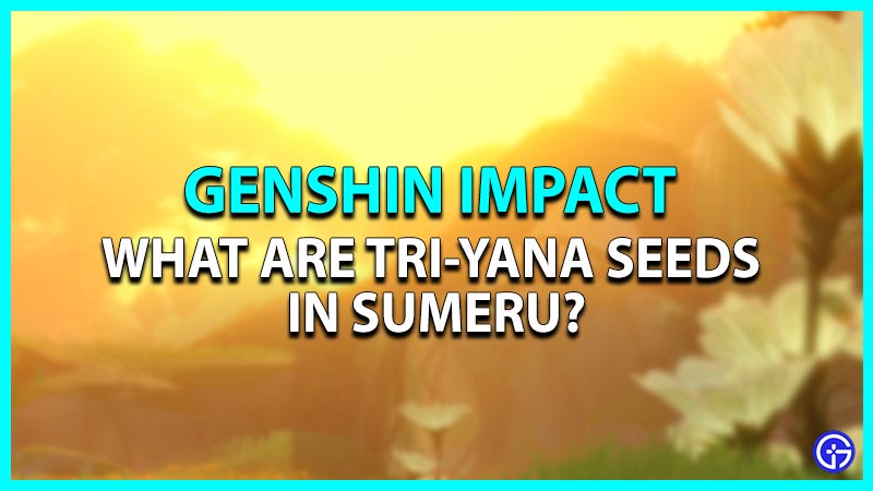 Genshin Impact: What Are Tri-Yana Seeds In Sumeru?