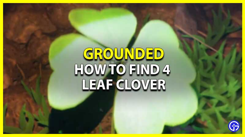 Grounded: How To Find 4 Leaf Clover