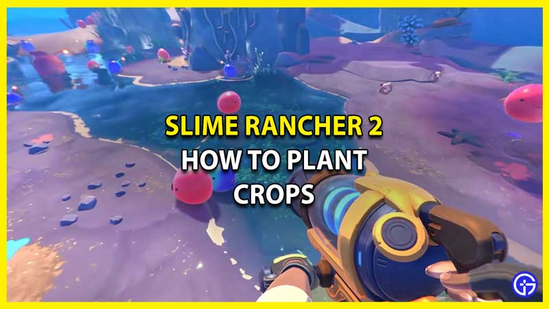 Slime Rancher 2 Plant Crops: How To Get Garden (Planting Guide)