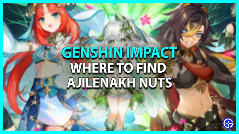 Genshin Impact: Where To Find Ajilenakh Nuts
