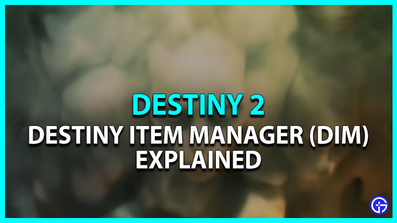 Destiny 2 Item Manager (DIM): How To Use? (Explained)