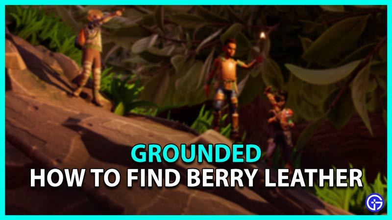 How To Find Berry Leather In Grounded