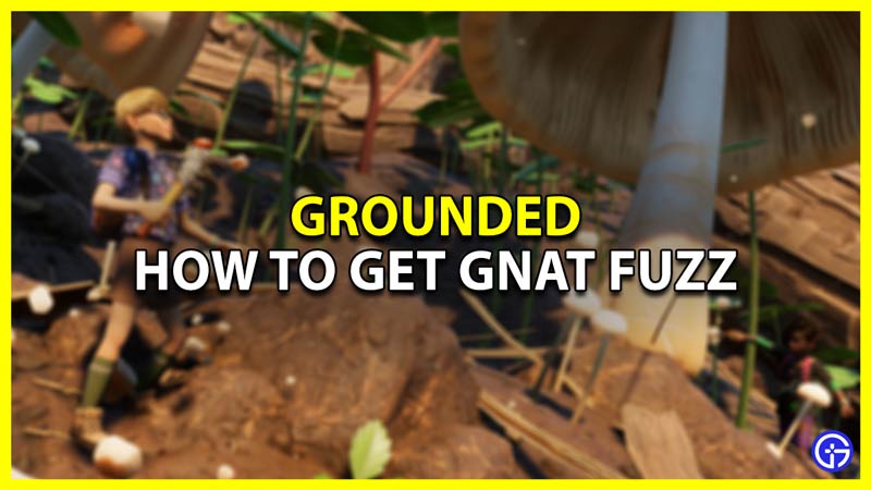 How To Get Gnat Fuzz In Grounded