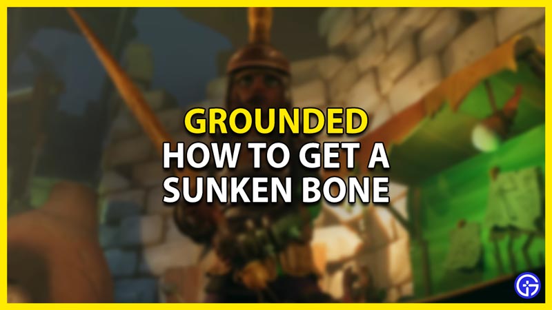Grounded: How To Get A Sunken Bone