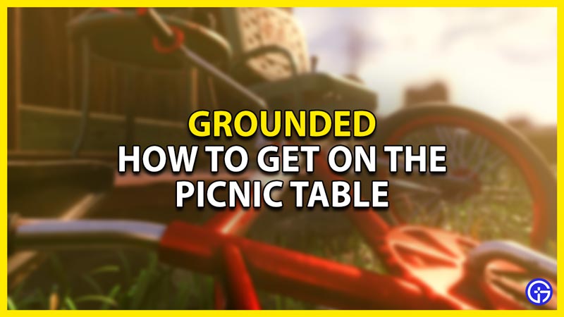 Grounded Picnic Table Guide: How To Get On It