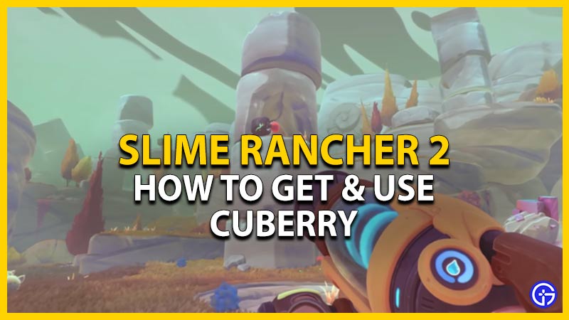 How To Get Cuberry In Slime Rancher 2