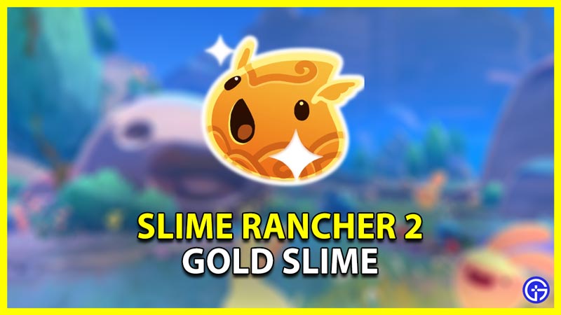 Where To Find Gold Slimes In Slime Rancher 2? (Answered)