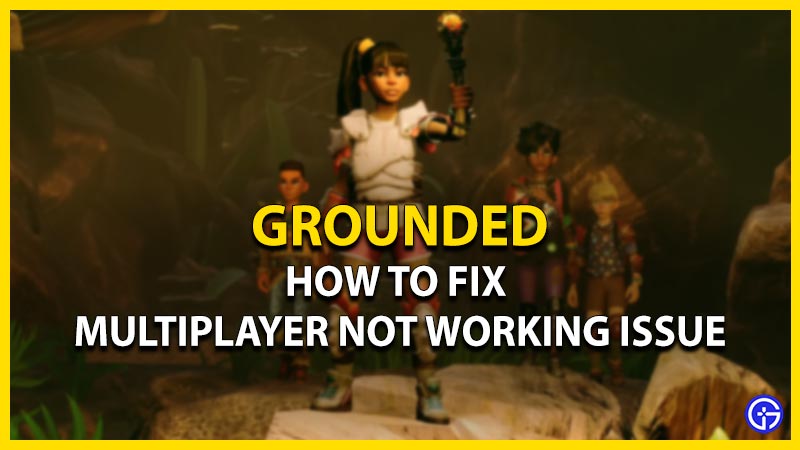 How To Fix The Grounded Multiplayer Not Working Issue