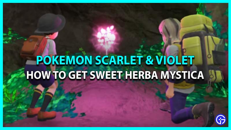 How To Get Sweet Herba Mystica In Pokemon Scarlet Violet (SV)