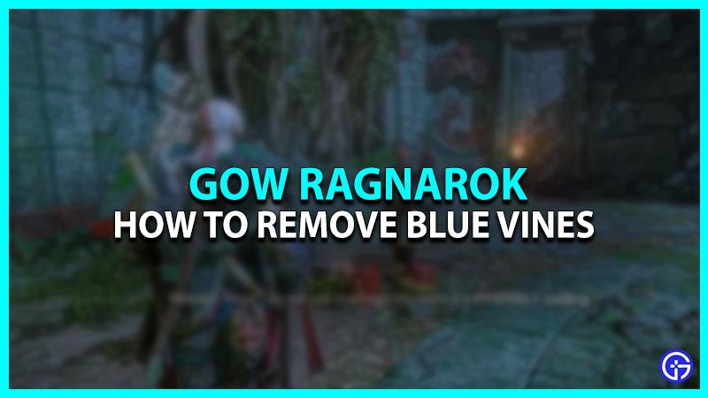 God Of War Ragnarok: How To Remove Blue Vines (Thorny Branches)