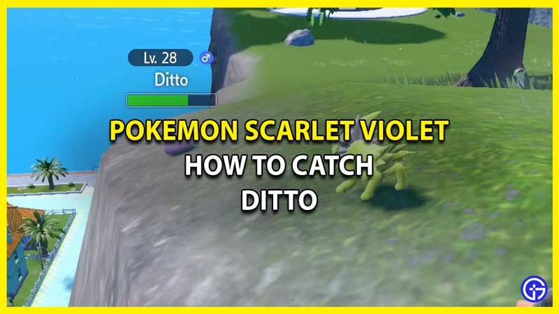 How To Catch Ditto In Pokemon Scarlet & Violet (Trick Guide)