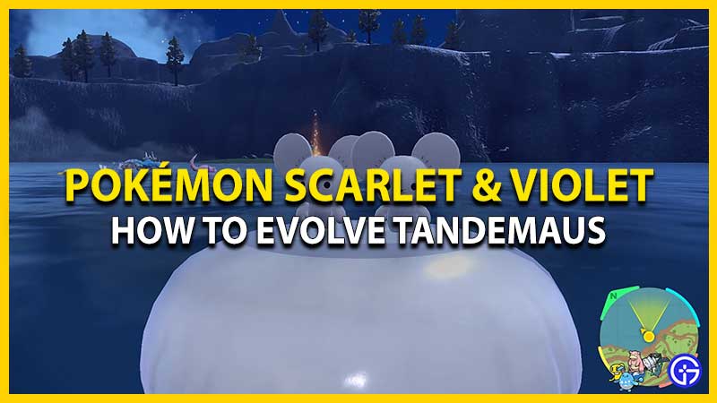 Pokemon Scarlet And Violet: How To Evolve Tandemaus