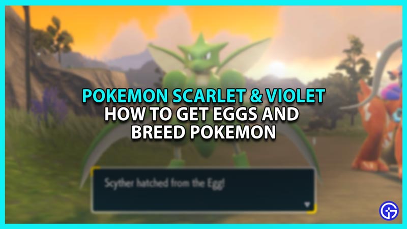 How To Get Eggs & Breed Pokemon In Pokemon SV