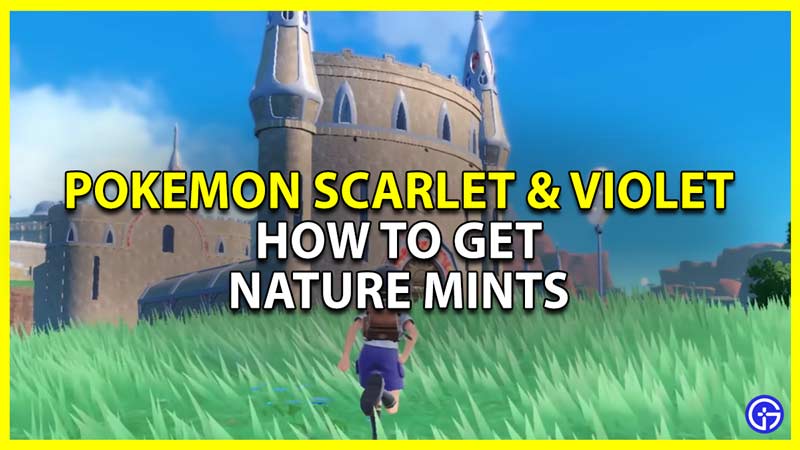 Pokemon Scarlet & Violet Mints: How To Get & Use Them