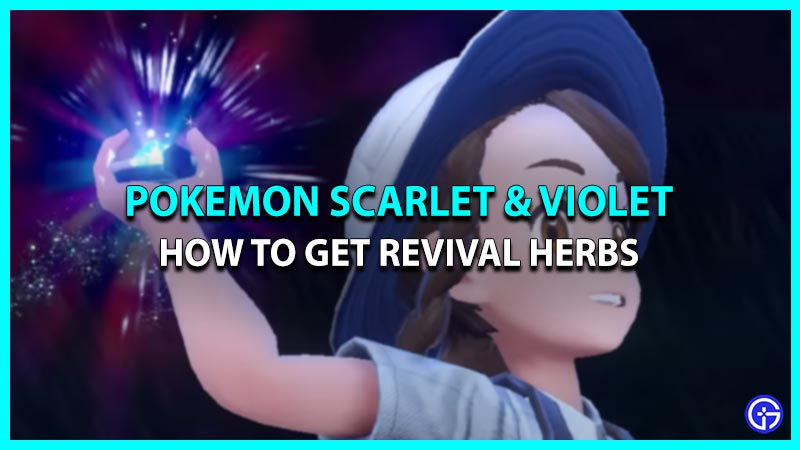 How To Get Revival Herbs In Pokemon Scarlet & Violet