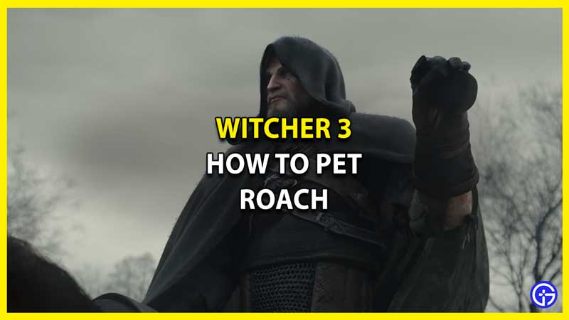 How To Pet Roach In The Witcher 3 Next Gen Update