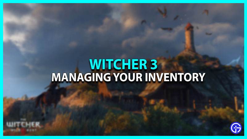 Managing Inventory In Witcher 3 (Guide)