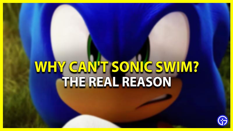 Why Can't Sonic Swim? - (Real Reason)