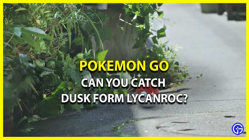Can You Get Dusk Form Lycanroc In Pokemon GO? [Answered]