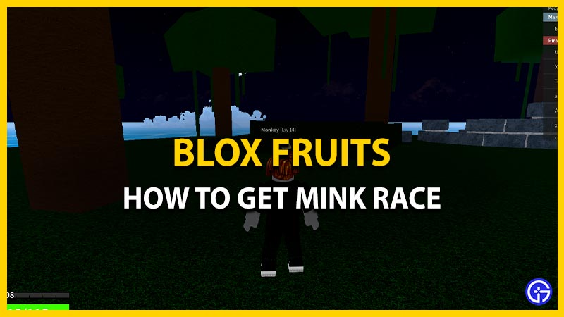 How To Get Mink Race In Blox Fruits