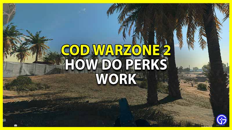 Warzone 2: How Do Perks Work (All Packages Explained)