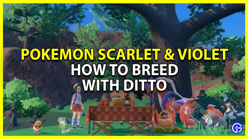 Pokemon Scarlet & Violet Breeding With Ditto (Complete Guide)