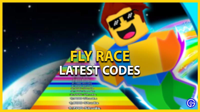 Fly Race Codes (February 2024)